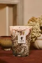 BAOBAB Bougie NAIS Lifestyle Max24 bis.webp
