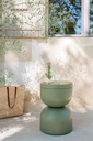 PIAPOLO_CACTUS_MONTELIMAR_ALBUM2021_AURELIE_LECUYER.webp
