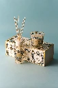 BAOBAB Coffret TOMORROWLAND 2026 Lifestyle.webp