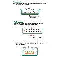 COOKUT Jeu de GRILLES pour plat a four SCHEMA.webp