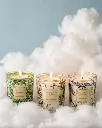 BAOBAB - Coffret trio TOMORROWLAND Lifestyle.webp