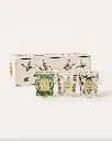 BAOBAB - Coffret trio TOMORROWLAND.webp