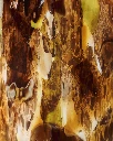 BAOBAB Halona YELLOW Details.webp