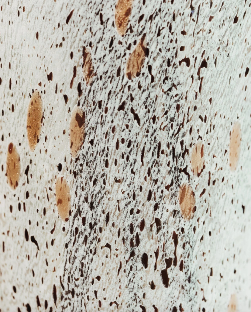 BAOBAB - Bougie HALONA White World DETAILS.webp