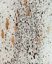 BAOBAB - Bougie HALONA White World DETAILS.webp