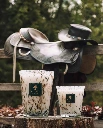 BAOBAB - Bougie HALONA White World MAX16 et MAX24 Lifestyle.webp