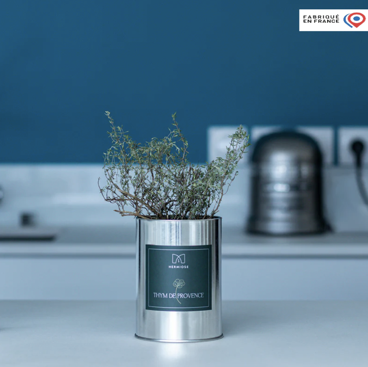 HERMIOSE - Pot Aromate prêt à Semer