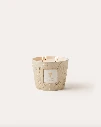 BAOBAB - Bougie PAZ Paloma